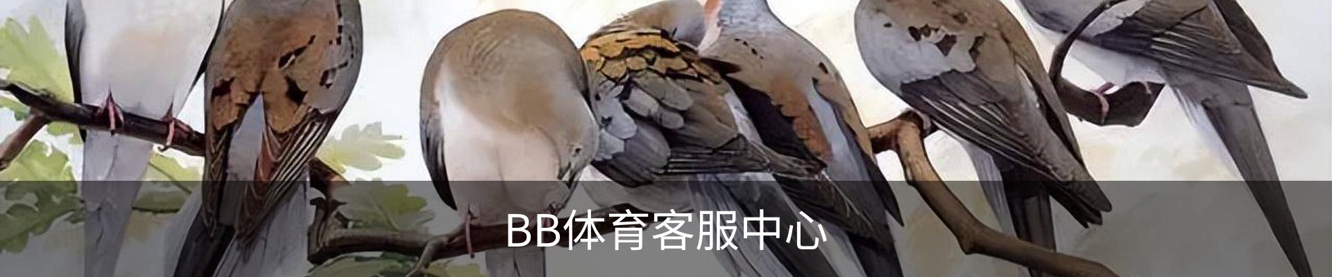 BB体育客服中心